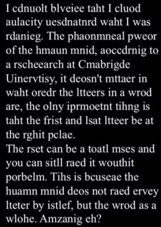 travel agency software