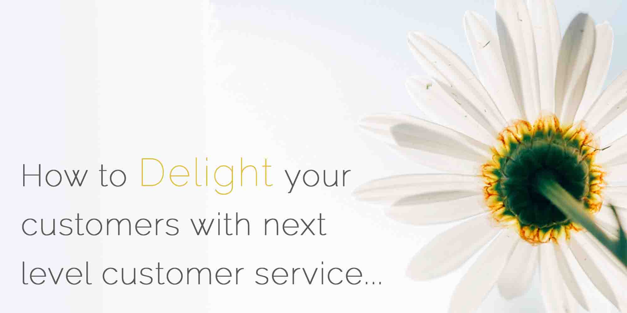 How to delight your customers with next level customer service