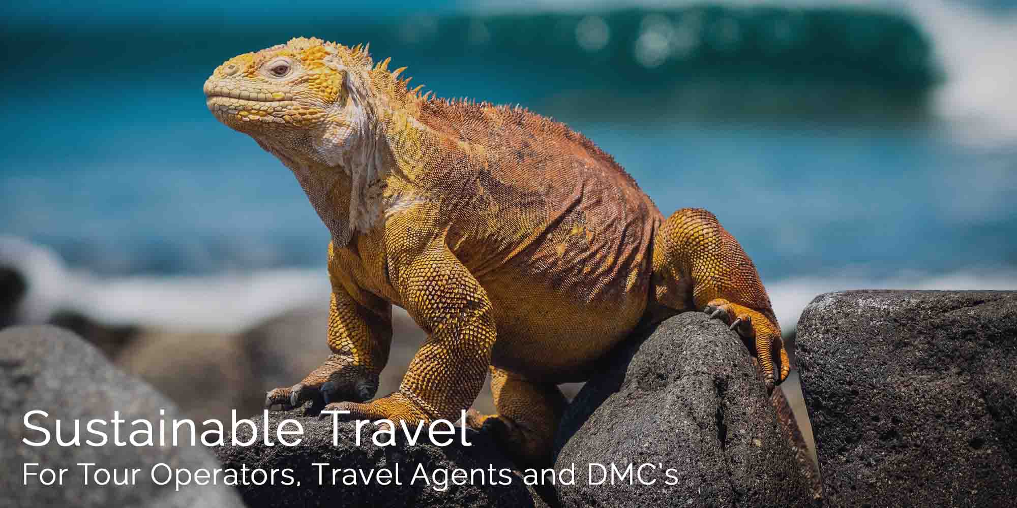 functions of tour operators in tourism industry