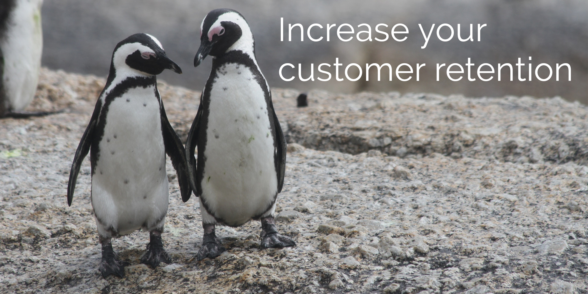 4 ways to increase your customer retention