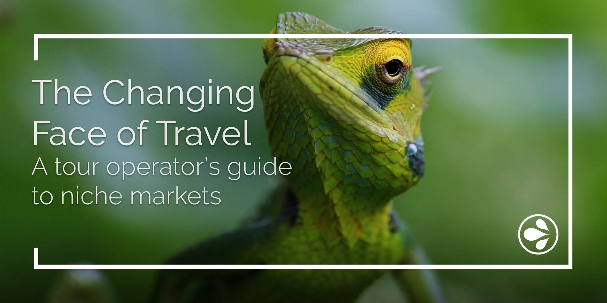 The Changing Face of Travel: A Tour Operator’s Guide to Niche Markets