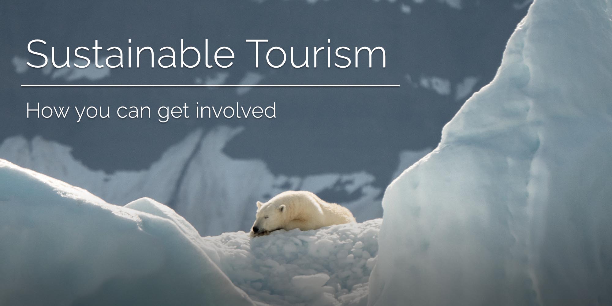 Our house is on fire: How your tour operator business can get involved in sustainable tourism.