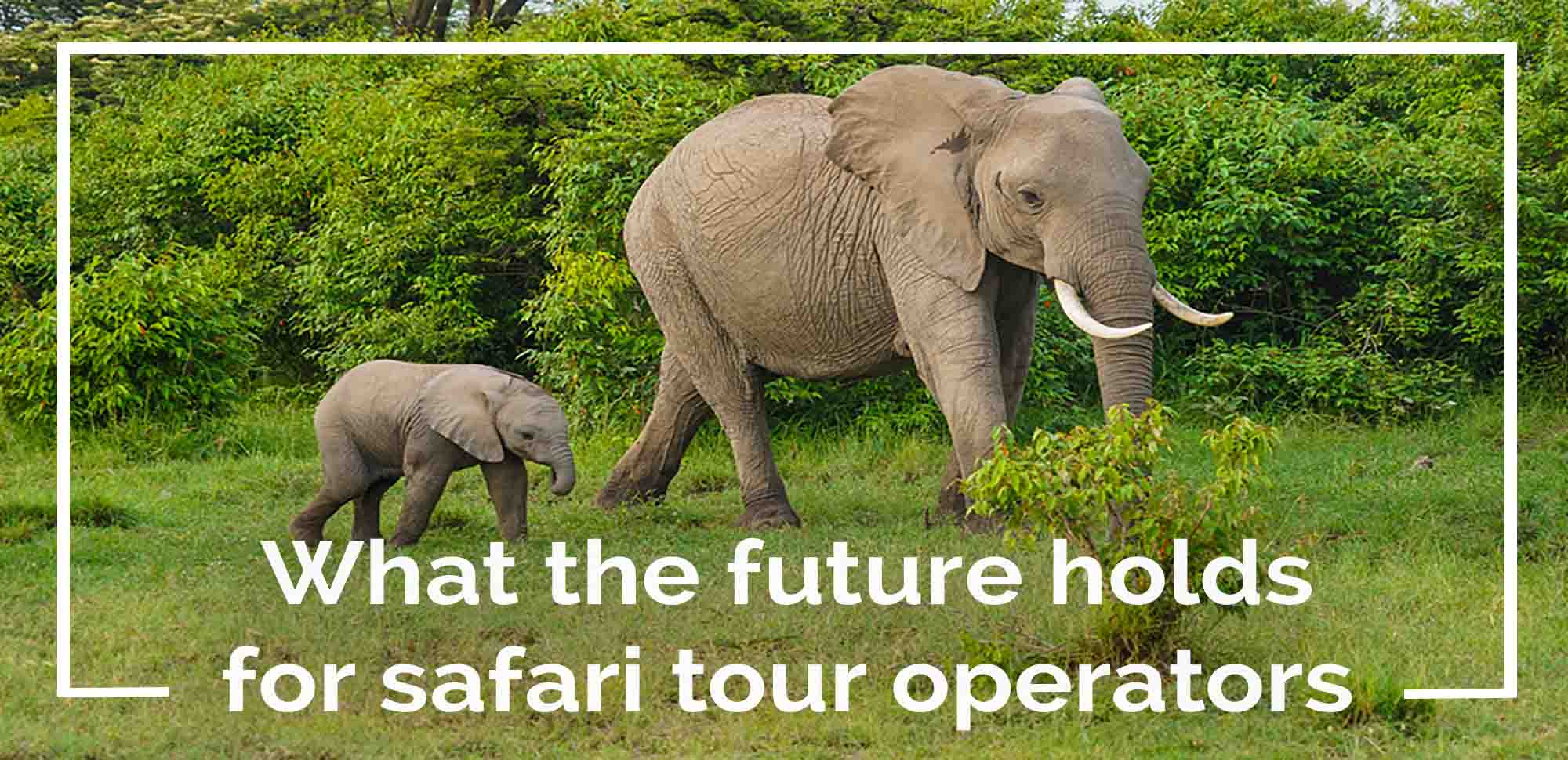 What the future holds for safari tour operators