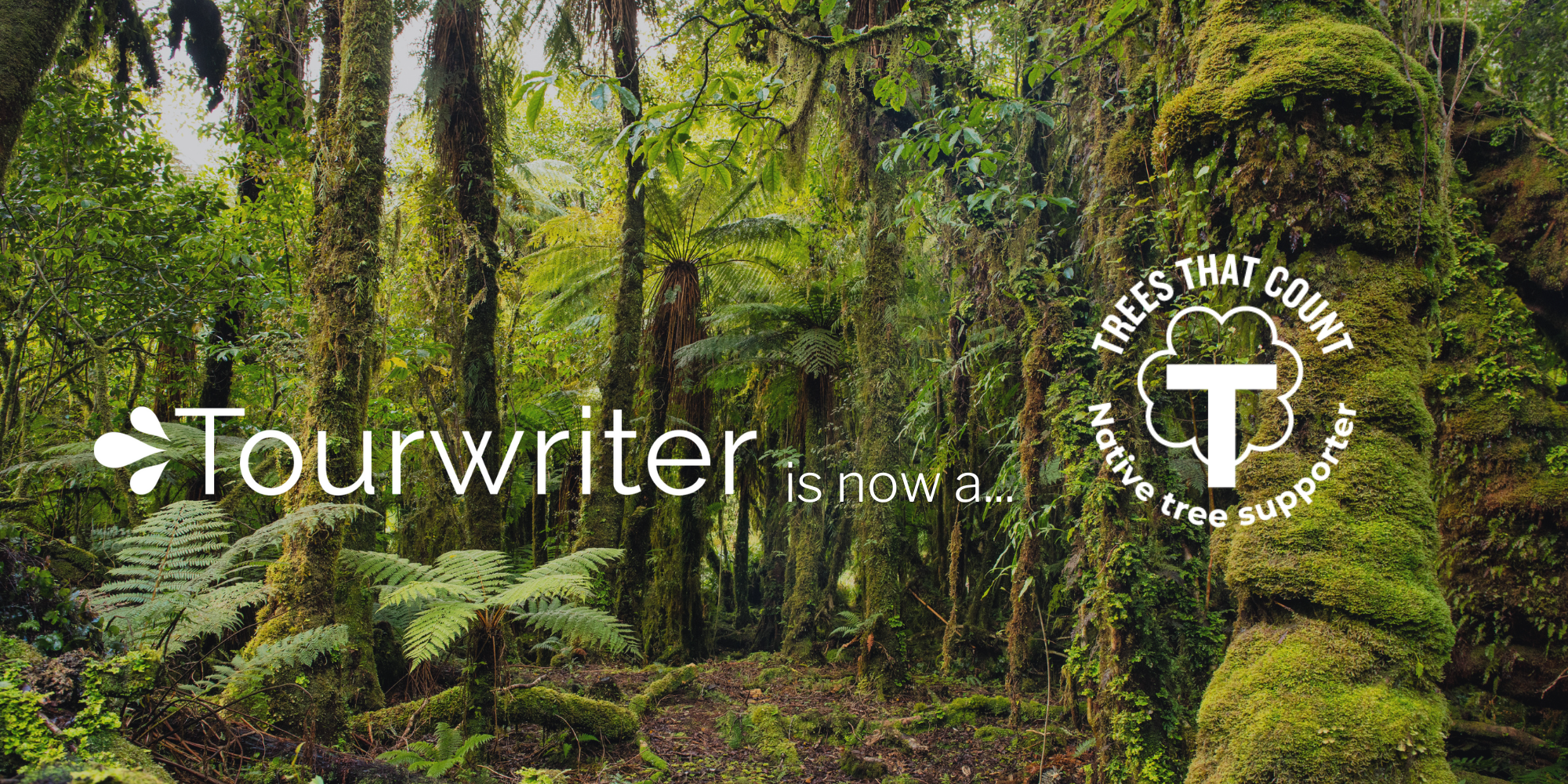 Tourwriter announces new native tree funding initiative
