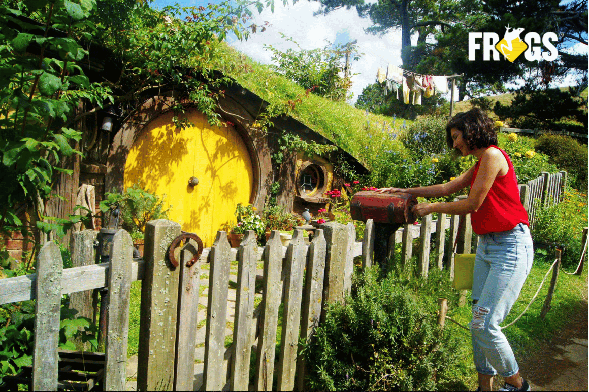 How Frogs-in-NZ Scaled to 54% Growth Using Tour Operator Software