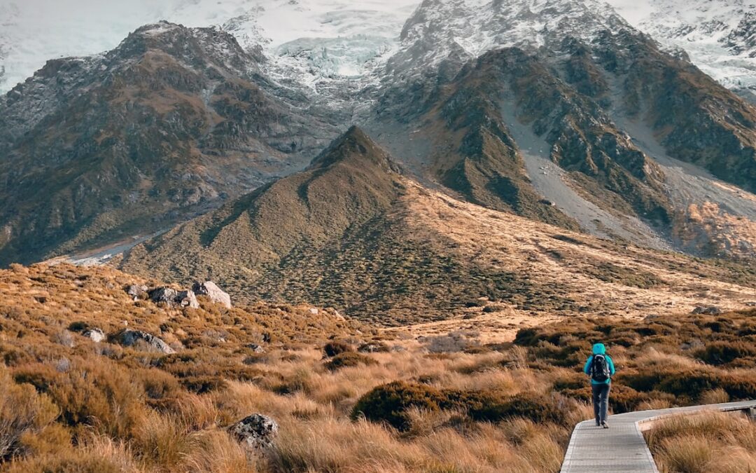 Ahipara Luxury Travel had Tourwriter. When a software developer joined the team, she took it further.