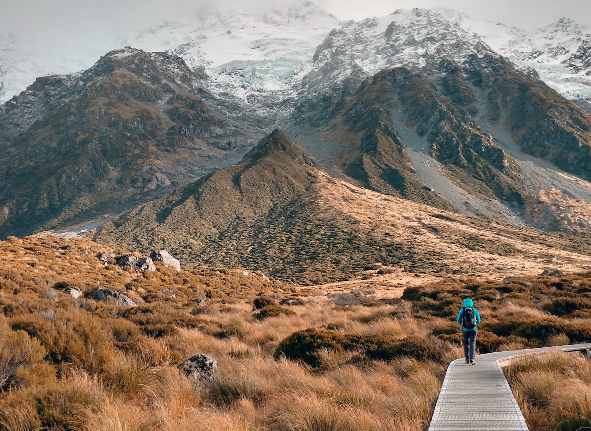 Ahipara Luxury Travel – hiker on wooden pathway Mount Cook New Zealand Hiker on wooden pathway through New Zealand alpine landscape, Mount Cook National Park