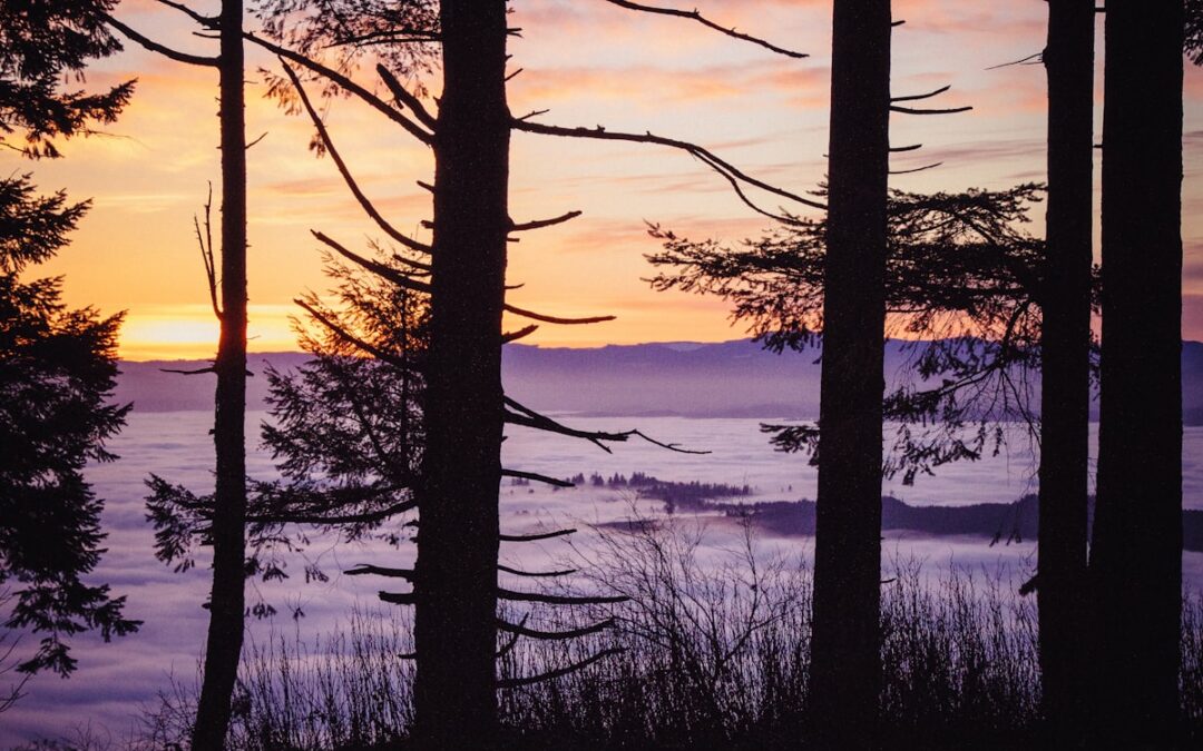 Running a full-service Nordic DMC without back-office staff after 5 years on Tourwriter