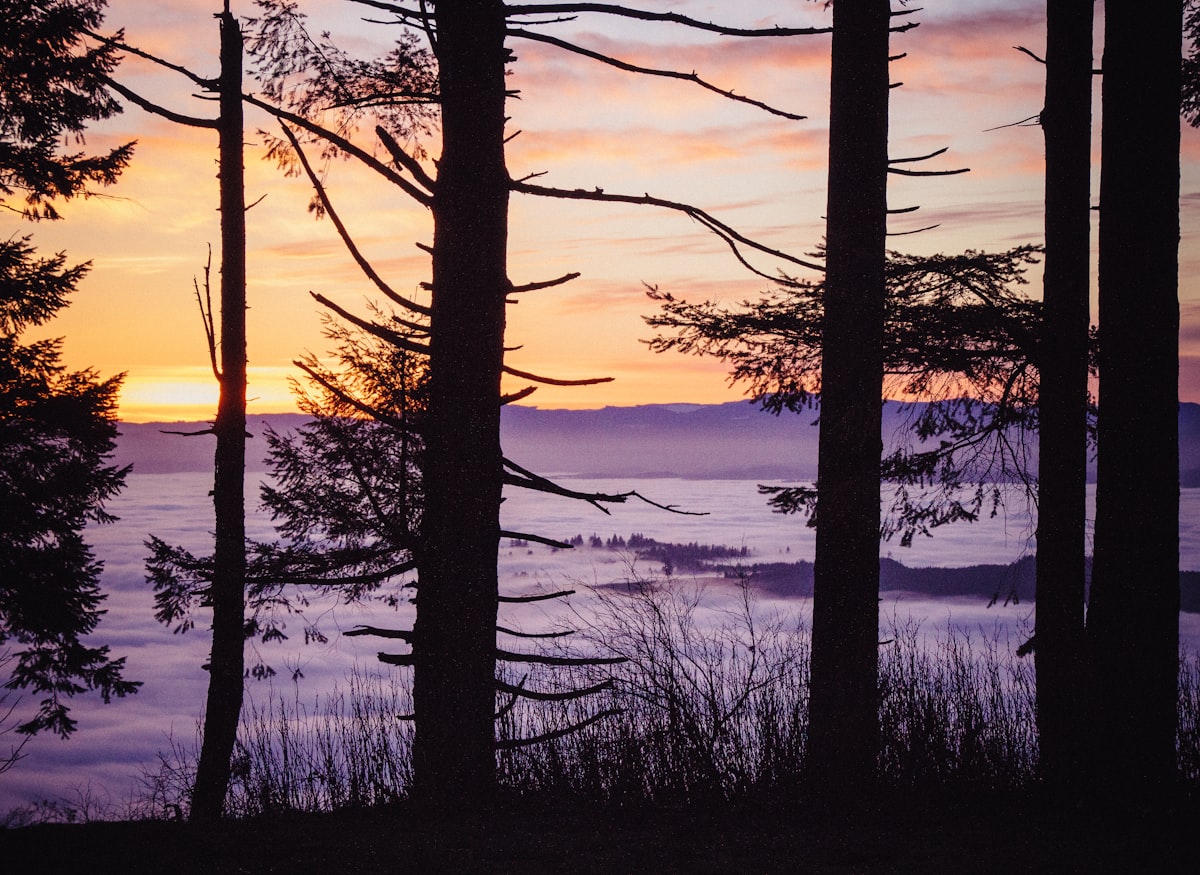 Hikers enjoying a sunset over the Norwegian coast, a luxury travel experience with Elan Norway