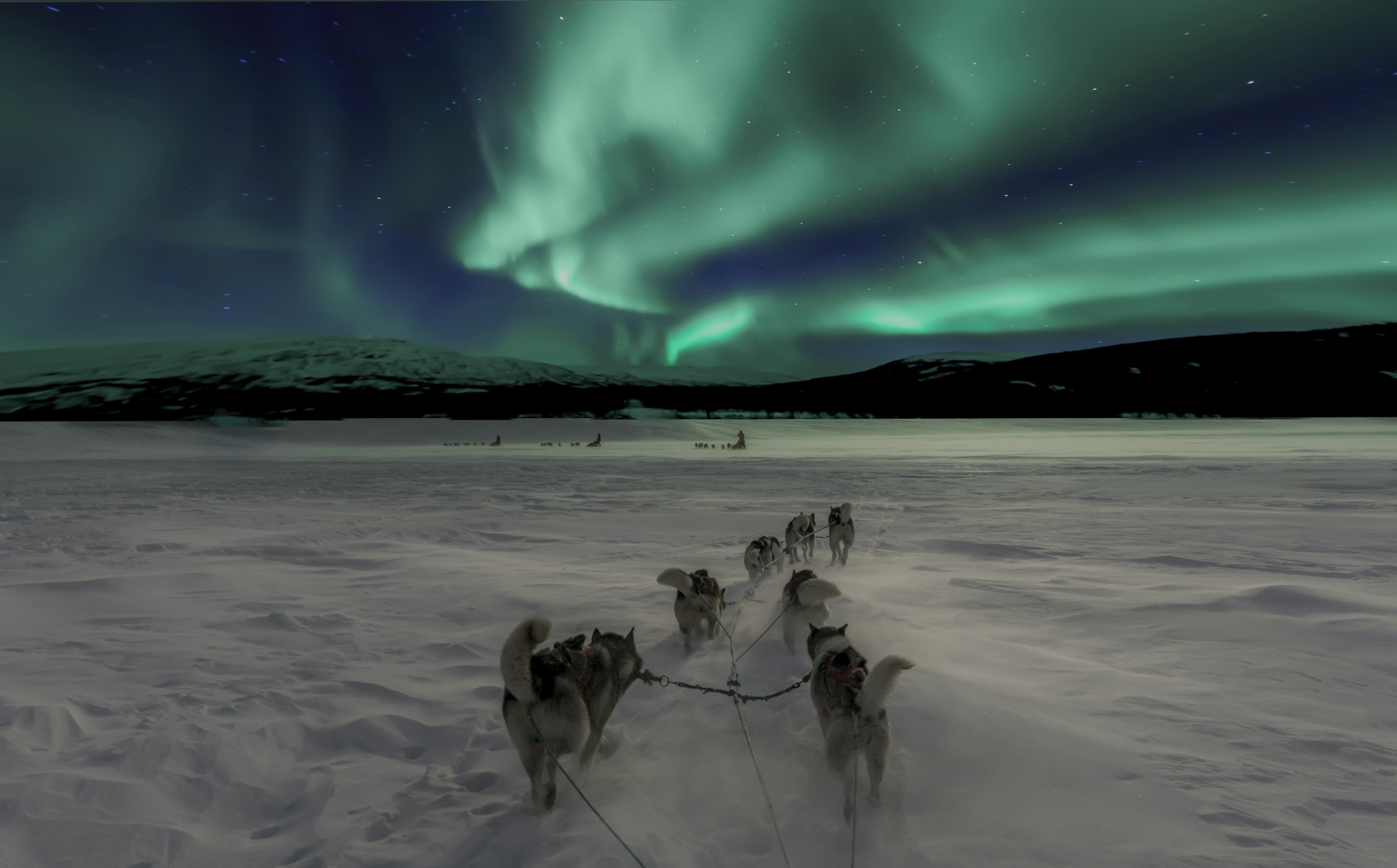 Husky sled team racing across a snow plain under vivid green northern lights in Arctic Norway