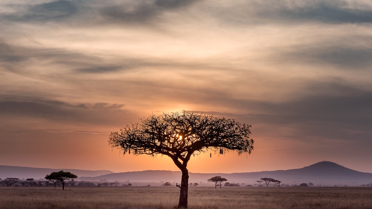 Namibia desert road, Gazzella Tours self-drive route