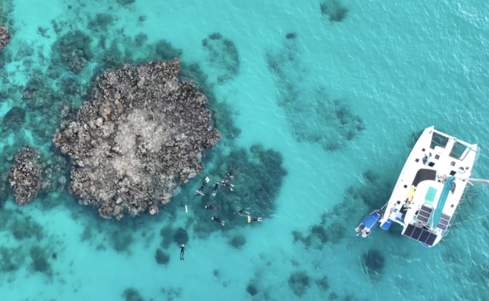 Aerial view of Sail Ningaloo guests snorkelling a coral bommie beside the Shore Thing catamaran