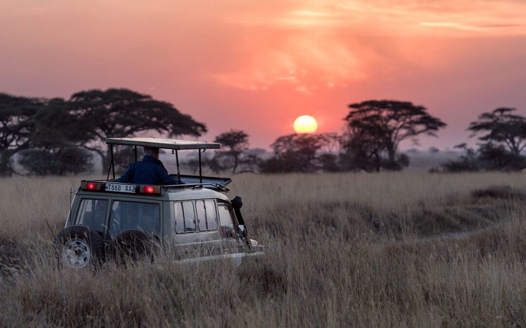 Replacing manual edits and 1-by-1 bookings with a single system for designing, pricing and booking at ViaVia Adventures