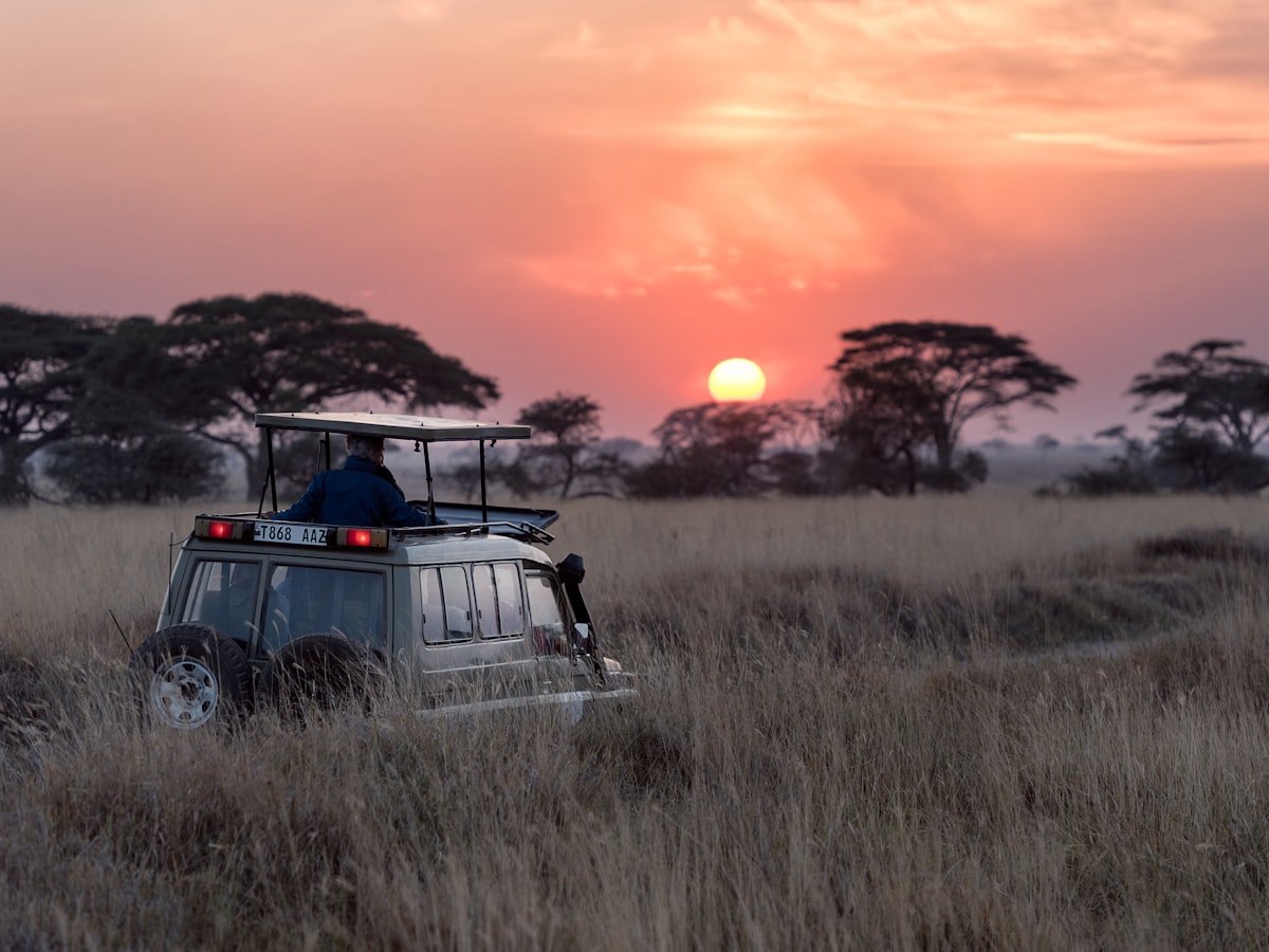 Safari vehicle crossing grassland at sunset near Entebbe, Uganda, on a ViaVia Adventures tour