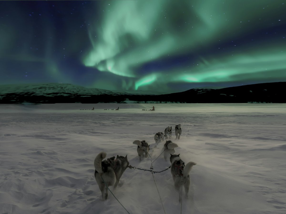tripcreator-alternatives-nordic-huskies-northern-lights-tw Husky sled team crossing snow under the northern lights in Norway, Nordic tour operator travel